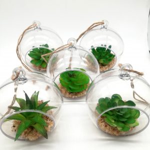 Μπάλα διάφανη plexiglass με παχύφυτο