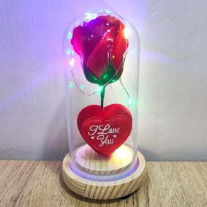 Γυάλα με Τριαντάφυλλο,LED κ Καρδιά ''I love you''